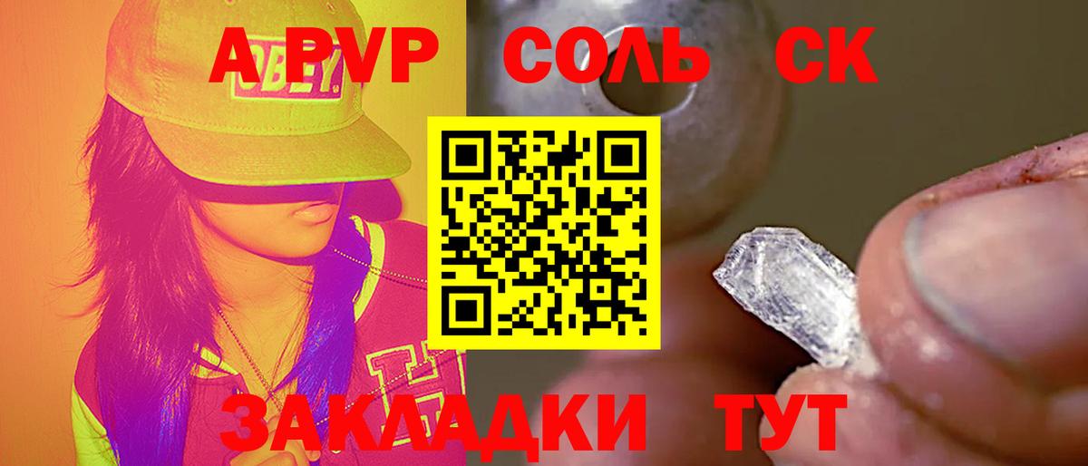 A PVP СК КРИС Светлоград