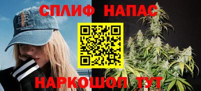МДПВ Пушкино