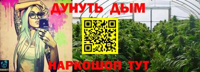 МДПВ Пушкино