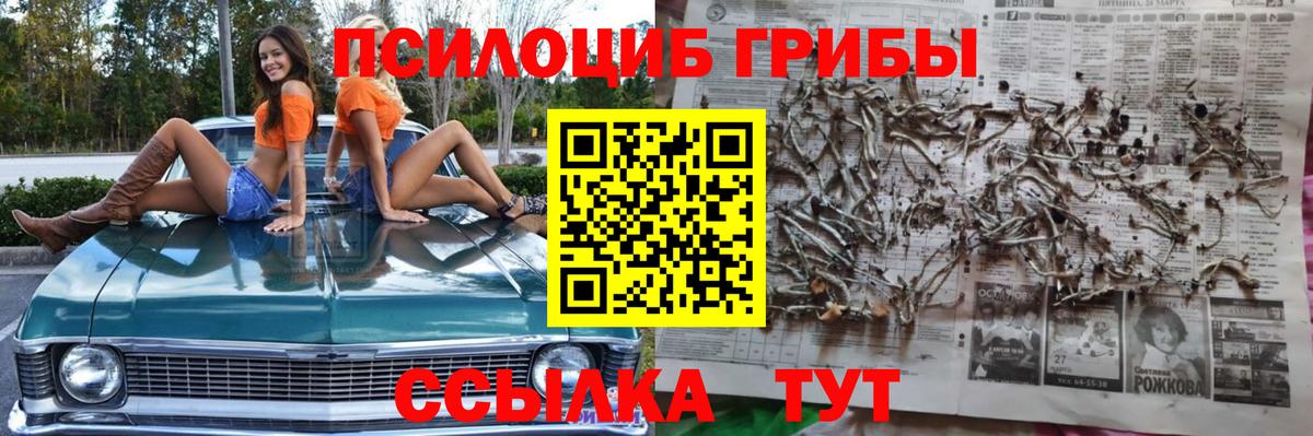 Галлюциногенные грибы мухоморы  Вход с VPN  Светлоград 