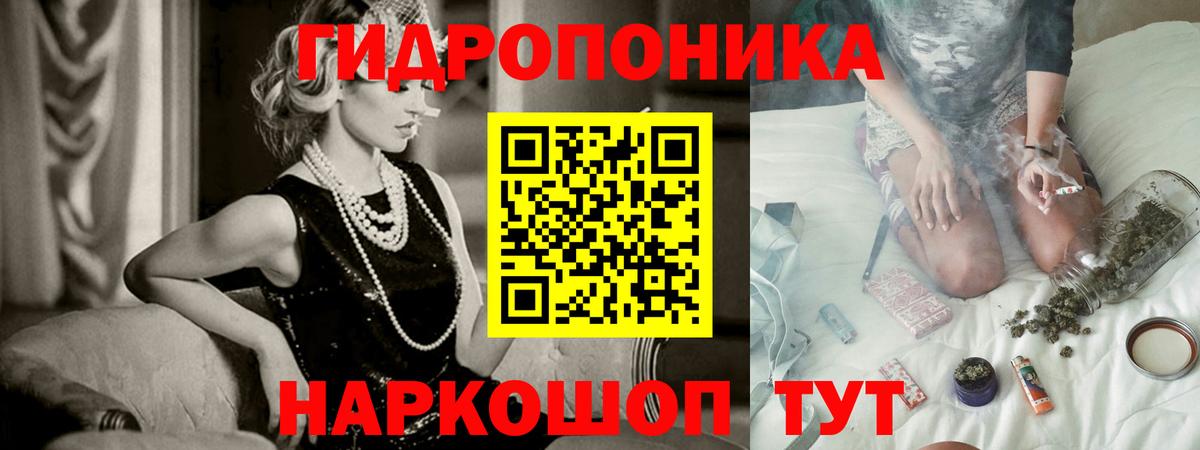 Конопля гибрид Светлоград